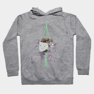 tradscantia plant in aromantic pride pot Hoodie